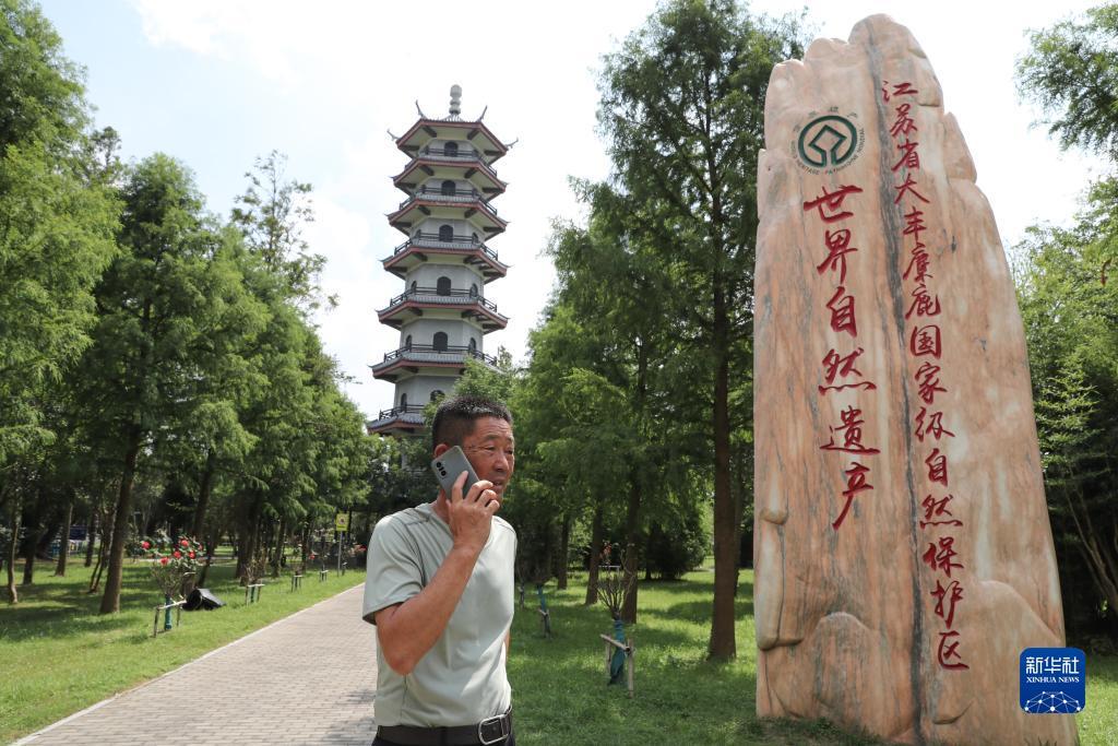 网络电子游艺
